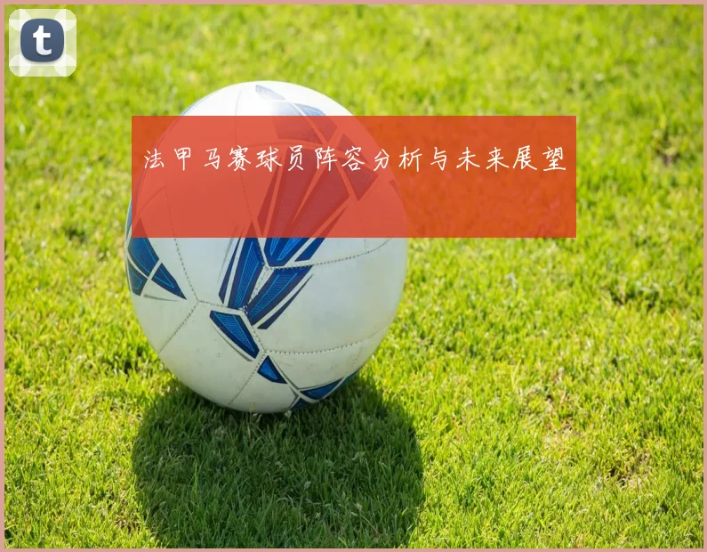 法甲马赛球员阵容分析与未来展望