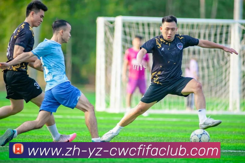 世界杯竞猜平台生态图